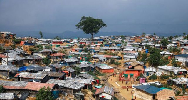 rohinga